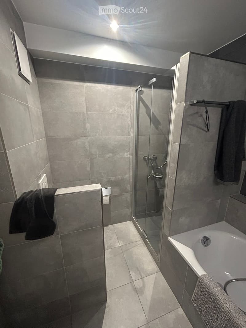 4.5 rooms renovated (5)