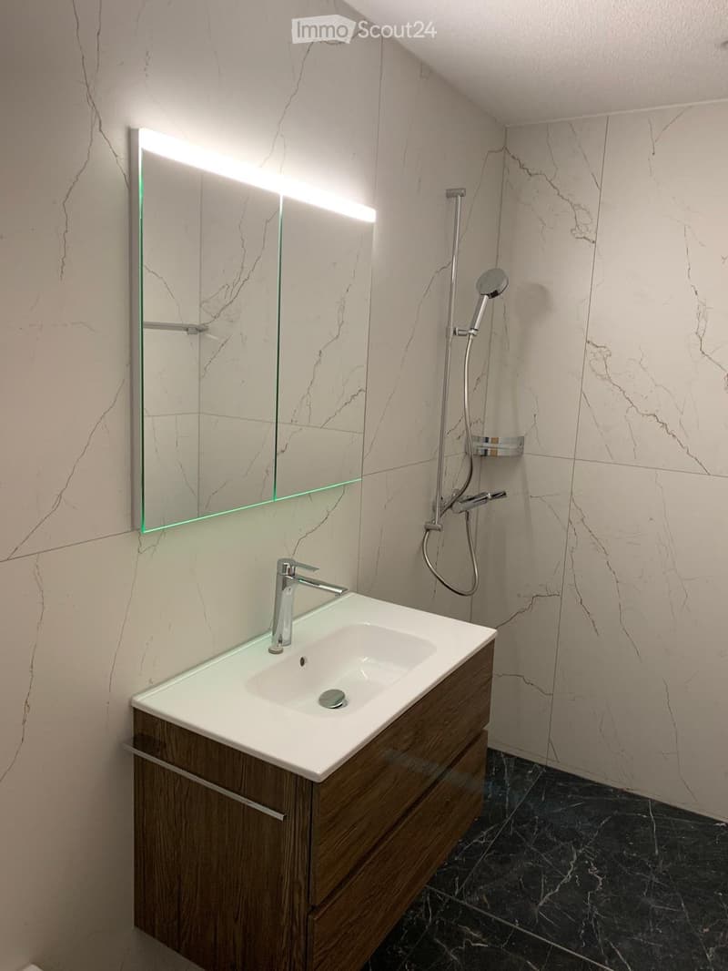 Newly built apartment for rent (3)