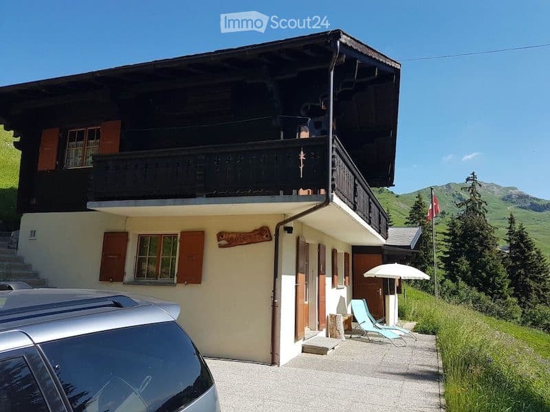 Ferienchalet (1)