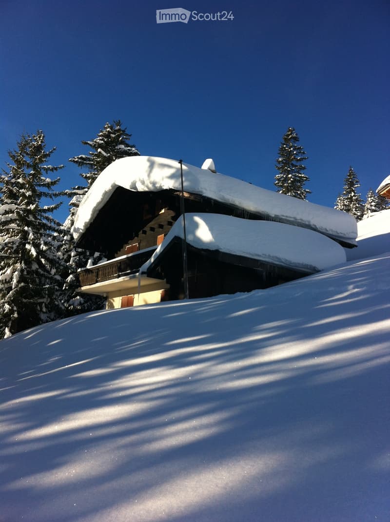 Ferienchalet (2)