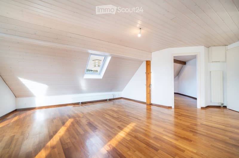 Beautiful 2.5 room apartment, in the heart, with balcony and view (3)