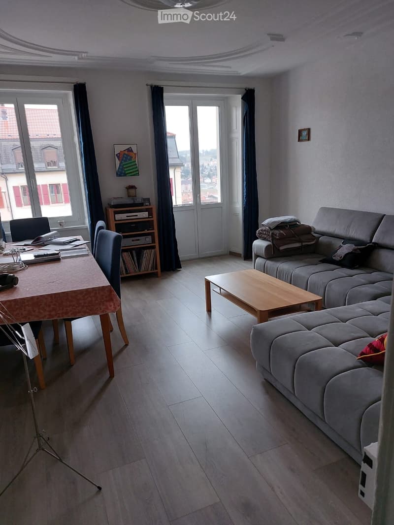 Schönes renoviertes Apartment (5)