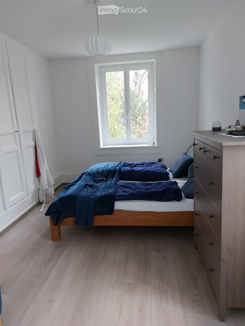 Schönes renoviertes Apartment (3)