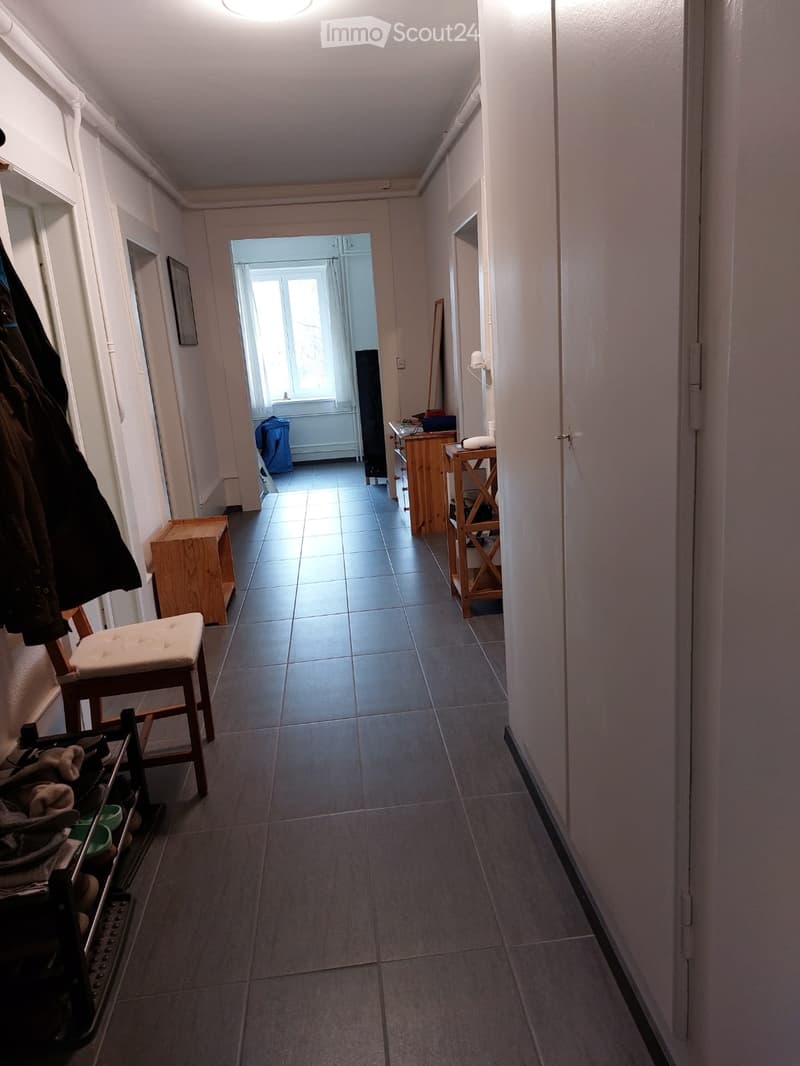 Schönes renoviertes Apartment (4)