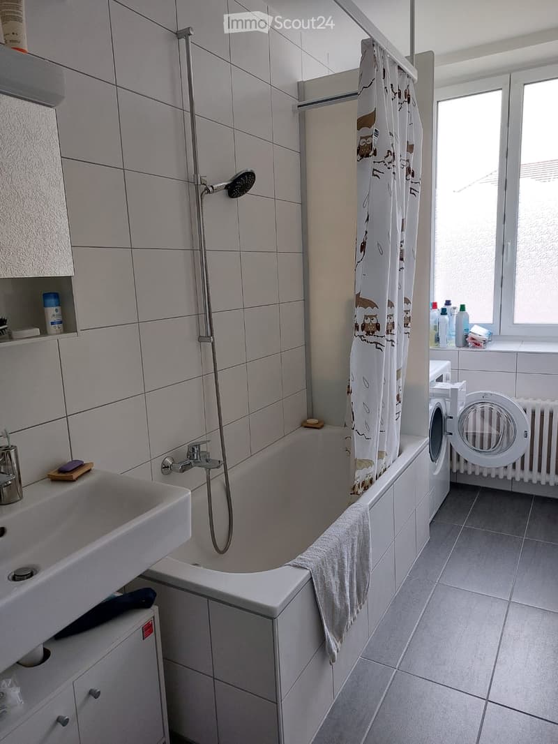 Schönes renoviertes Apartment (2)