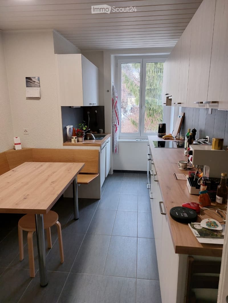 Schönes renoviertes Apartment (1)