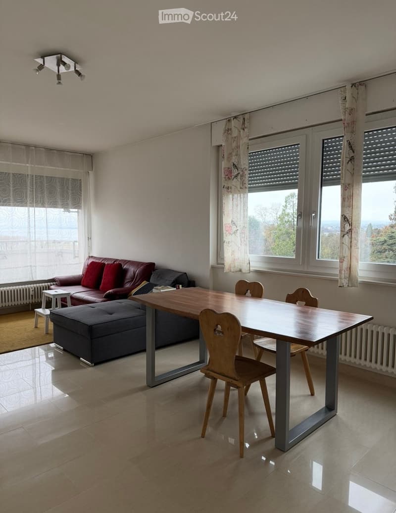 Bright 4.5-room apartment with lake view (2)