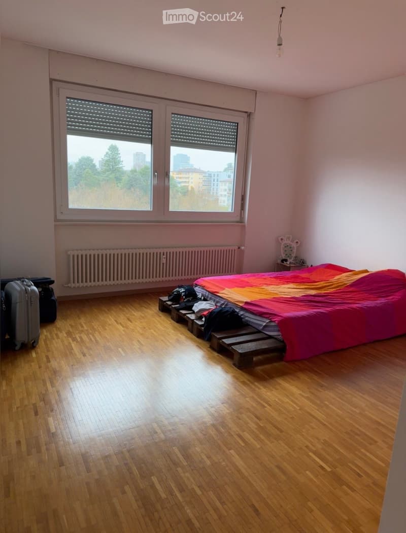 Bright 4.5-room apartment with lake view (5)