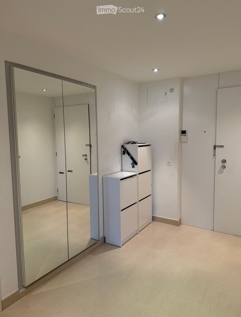 Bright 4.5-room apartment with lake view (4)