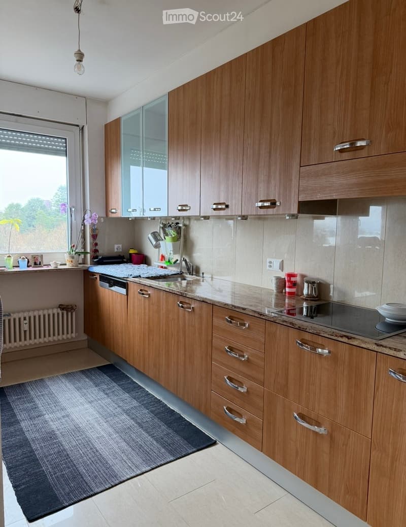 Bright 4.5-room apartment with lake view (3)