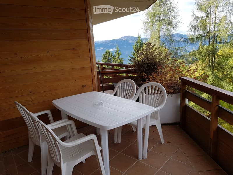 Studio magnifico a Villars-sur-Ollon (8)