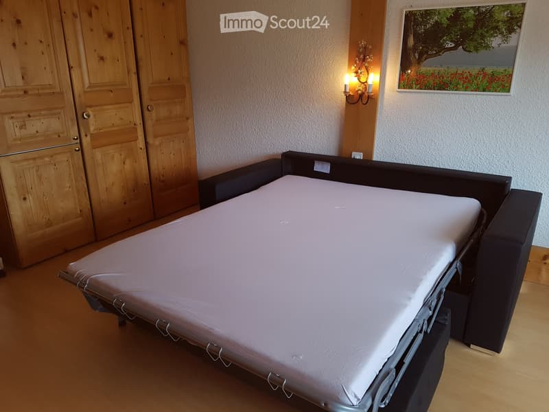 Studio magnifico a Villars-sur-Ollon (4)