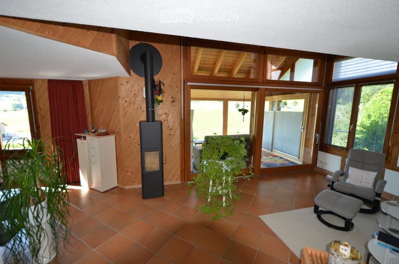 Maison spéciale 7 1/2 pièces avec beaucoup d'espace et pente sud (2)