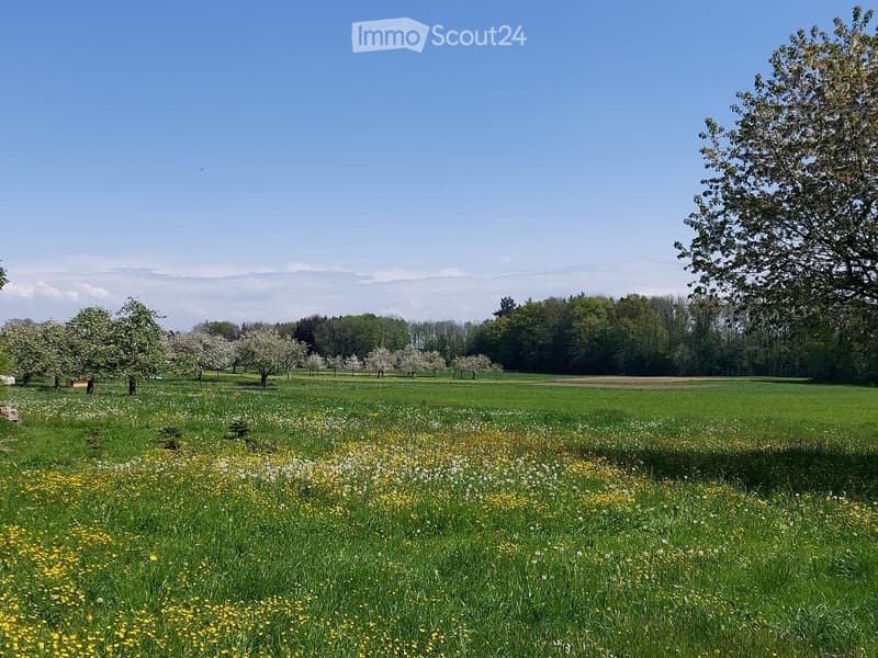 6 1/2 locali casa con giardino, posizione tranquilla, vista (5)