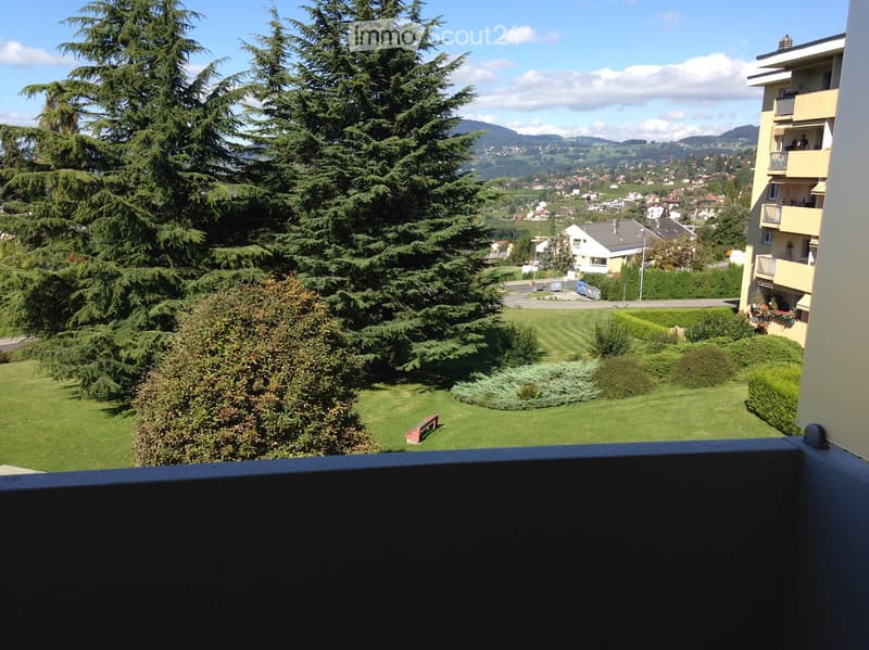 Furnished room for rent (5)