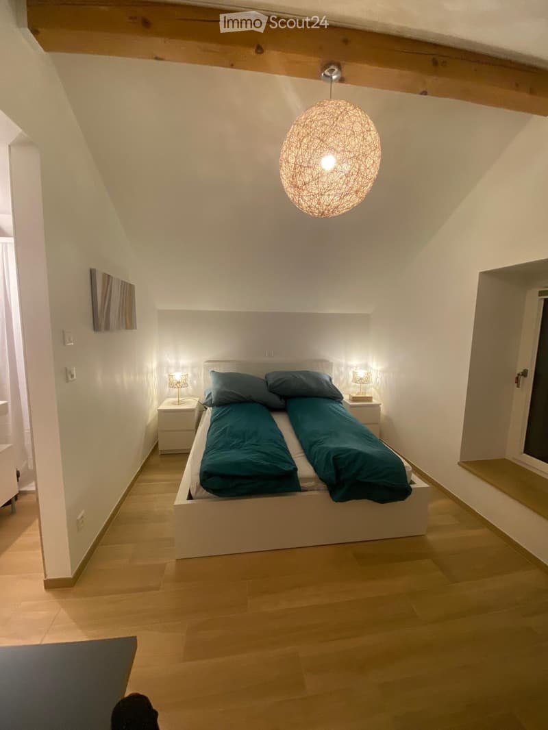 Prächtige möblierte Wohnung in ruhiger Lage - Kurzfristig (1)