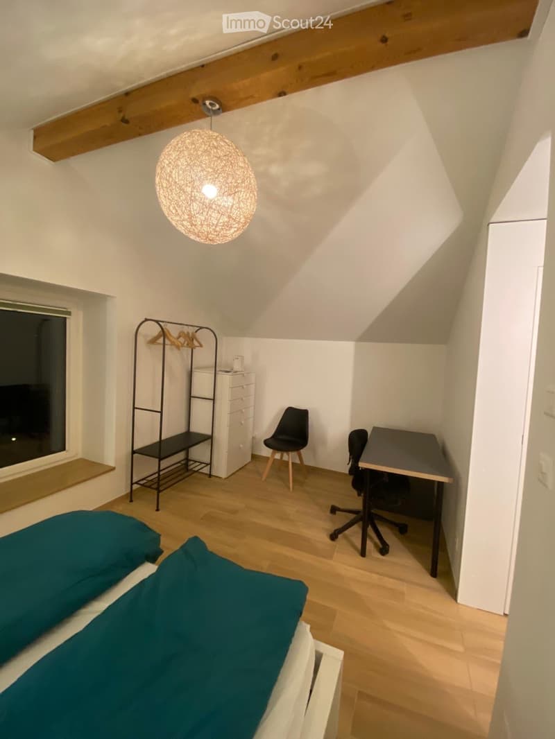 Prächtige möblierte Wohnung in ruhiger Lage - Kurzfristig (5)