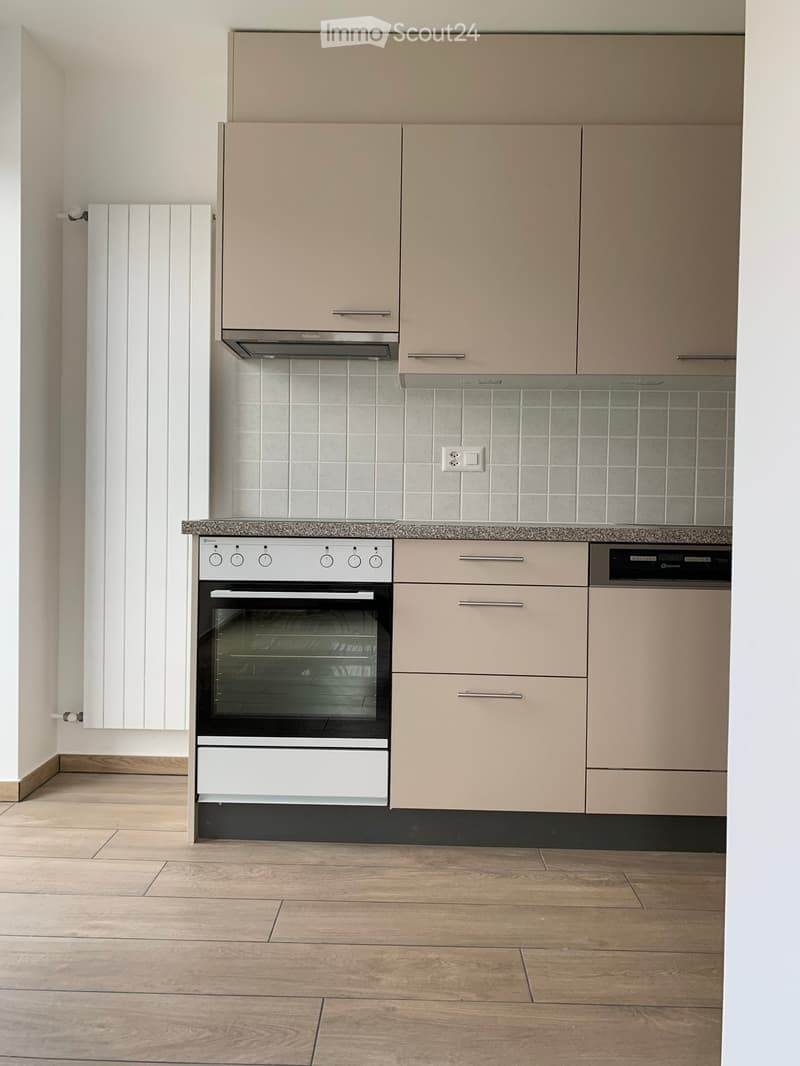 Appartamento 2.5 Ristrutturato a Vira Gambarogno (Locarno) (3)
