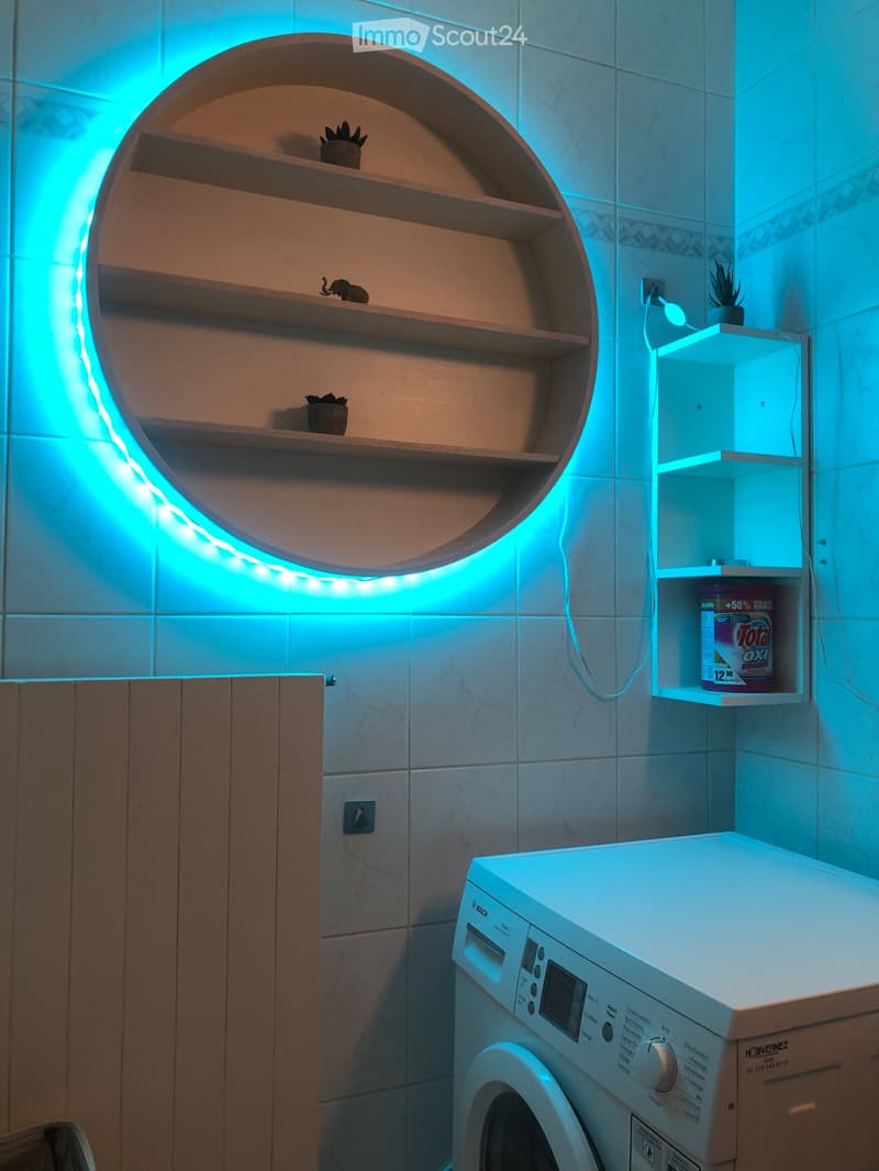 Bel appartement au centre de Genève (4)