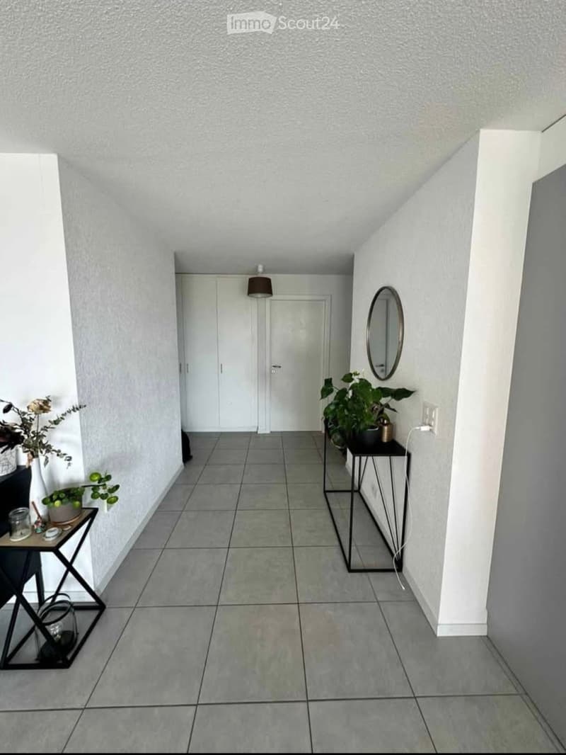 Modern and bright 5.5-room apartment for rent (4)