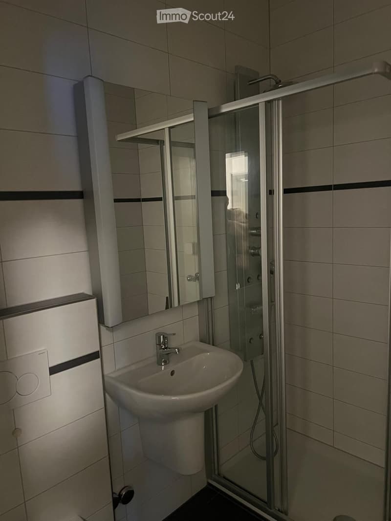 3-room apartment for rent in Luterbach (2)