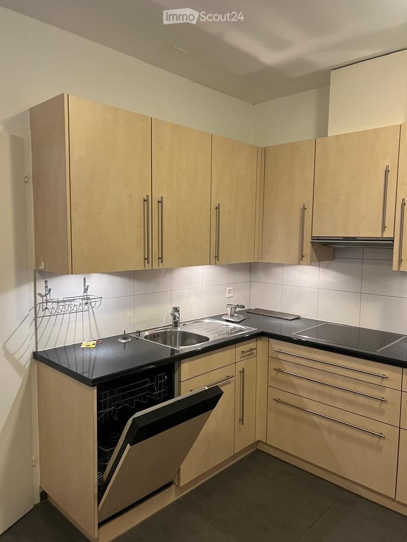 3-room apartment for rent in Luterbach (5)