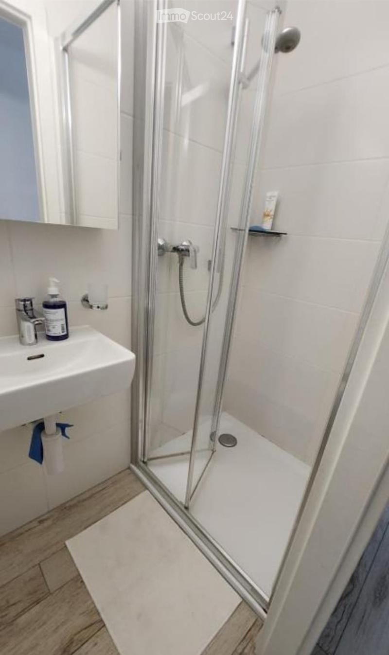 Grand attique meublé de 4,5pce 154m2 avec terrasse (3)