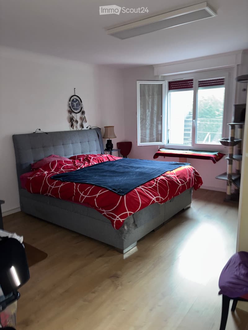 Grand Appartement de 4.5 pces avec balcon (4)