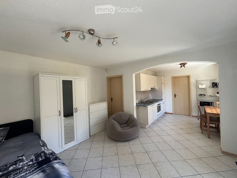 Quiet furnished studio near EHL - Available from July (2)