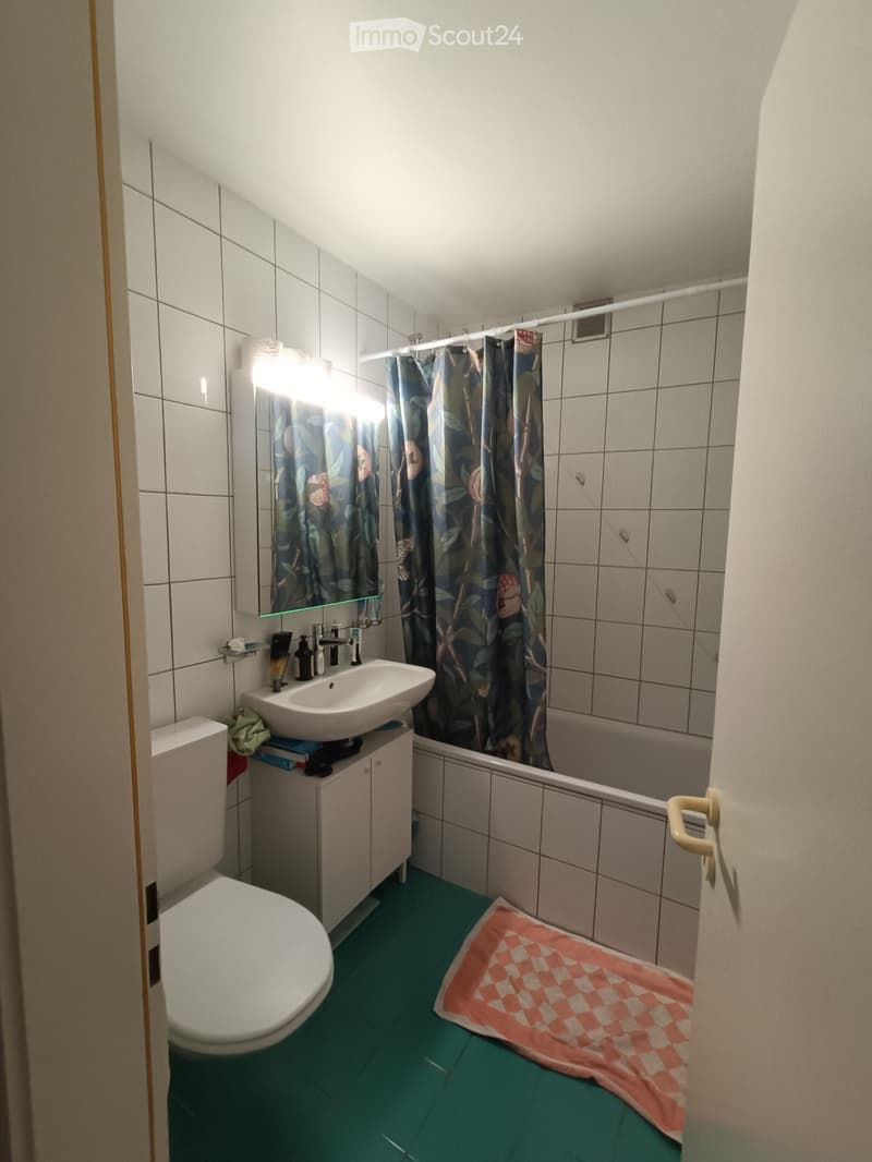 Apartment in the city center of Yverdon (4)