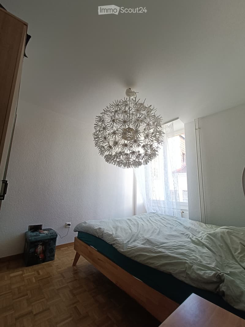 Apartment in the city center of Yverdon (5)