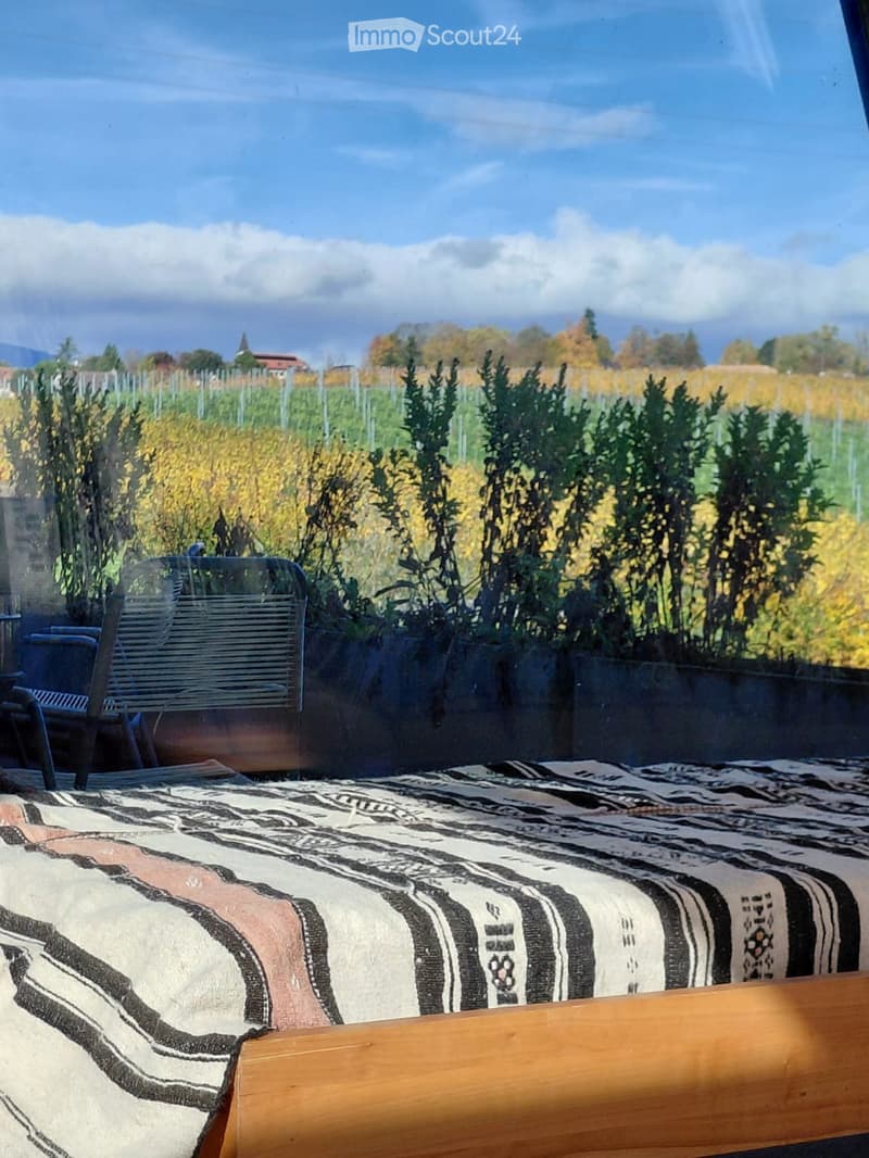 Room in a shared house (10)
