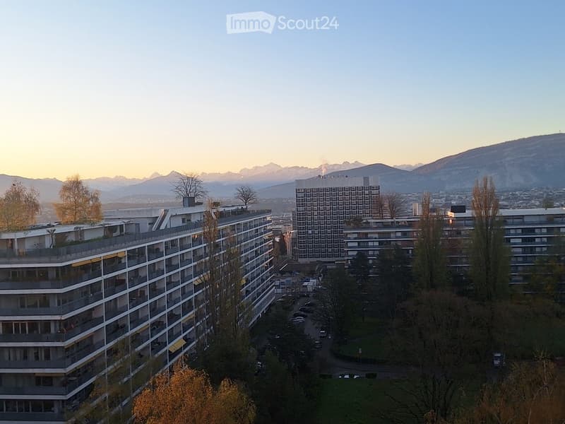 Bello appartamento di 5 locali con vista magnifica (5)