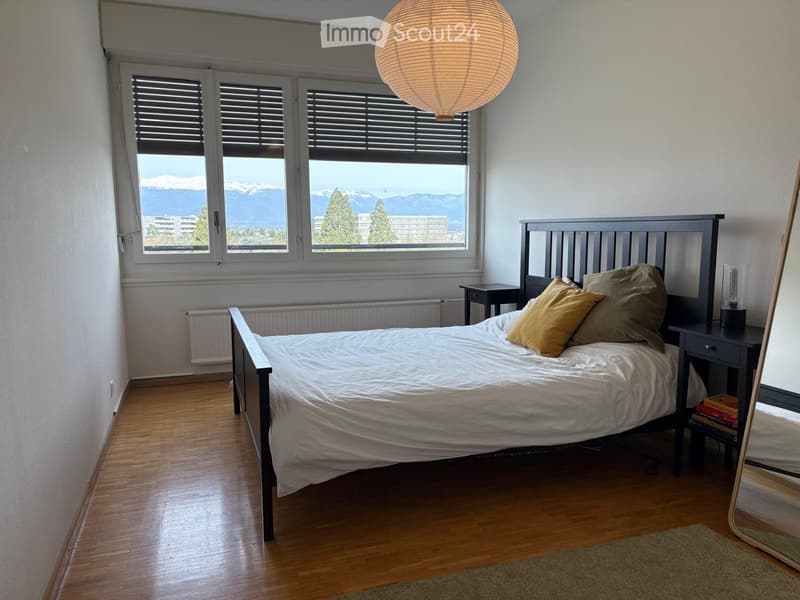 Bello appartamento di 5 locali con vista magnifica (4)