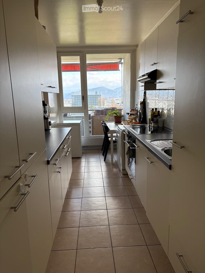 Bello appartamento di 5 locali con vista magnifica (3)