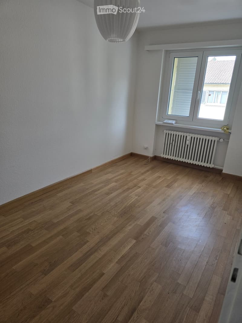 Bello appartamento di 3 camere con balcone invernale (3)