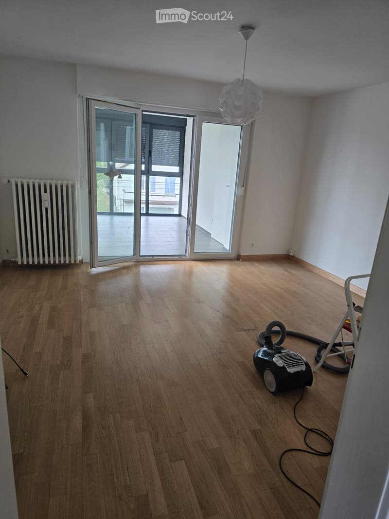 Bello appartamento di 3 camere con balcone invernale (5)