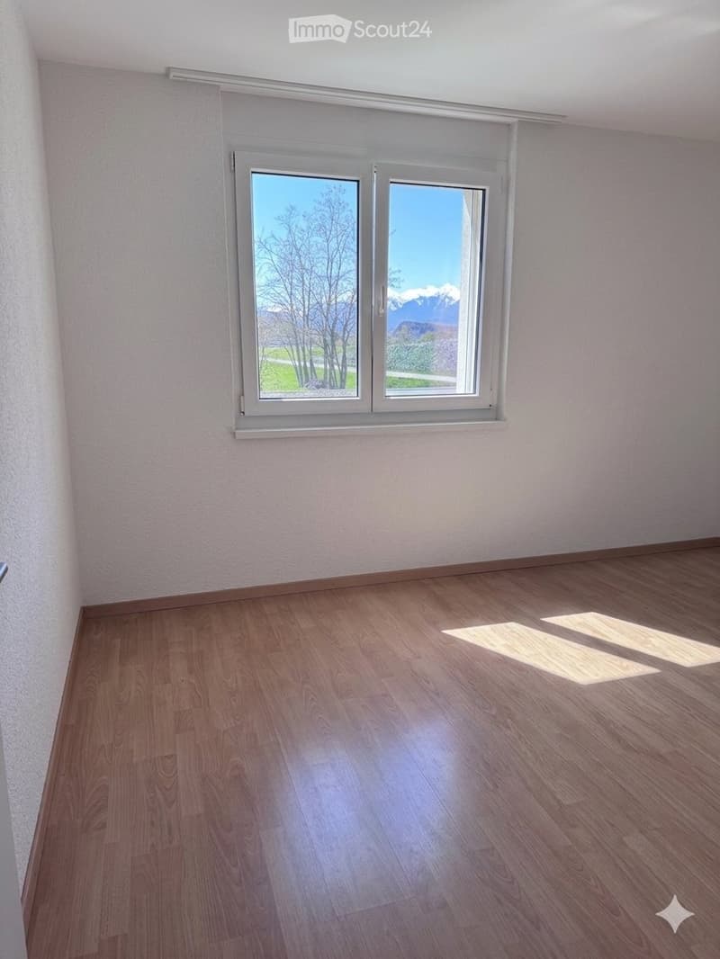 Meravigliosa e luminosa appartamento di 4.5 locali a Réchy (2)