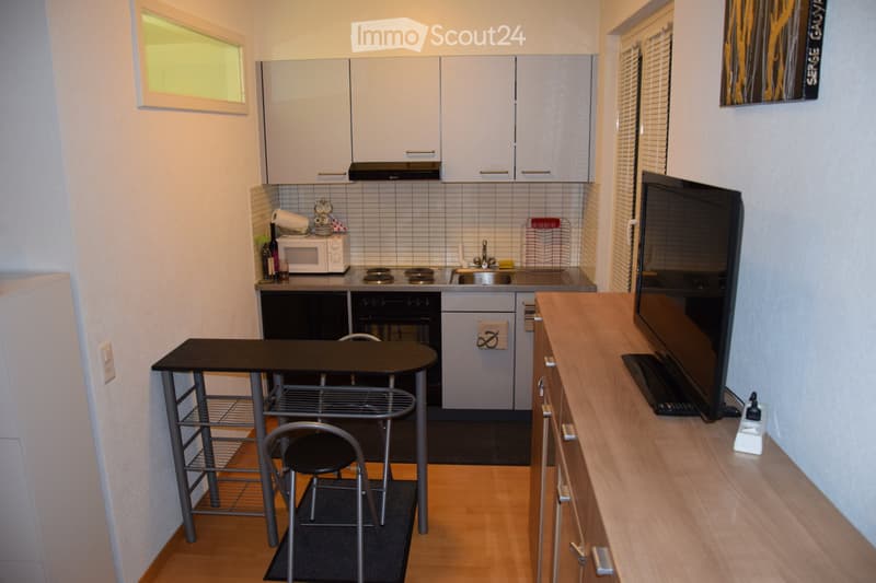Apartment, Furnished Studio for Rent Lausanne Center (3)