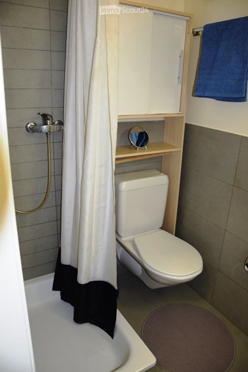 Apartment, Furnished Studio for Rent Lausanne Center (4)