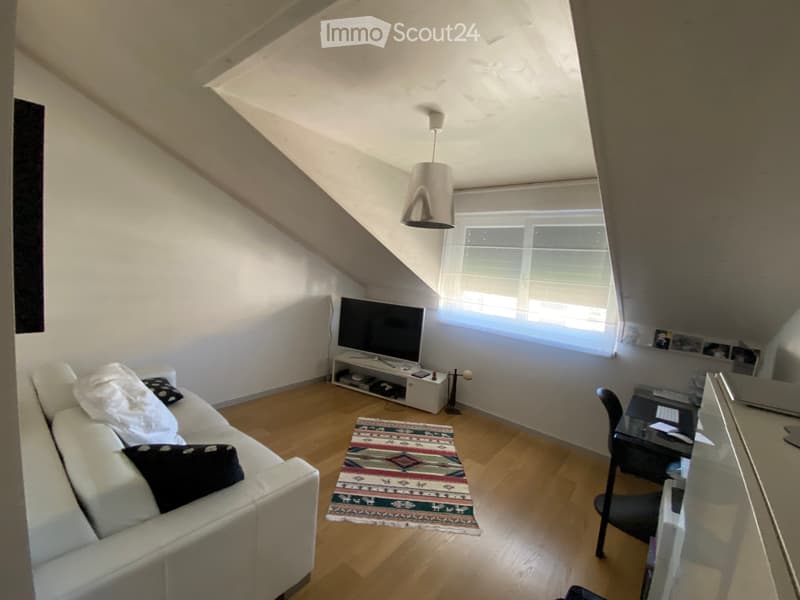 NOUVEAU PRIX A vendre Grand attique lumineux (4)