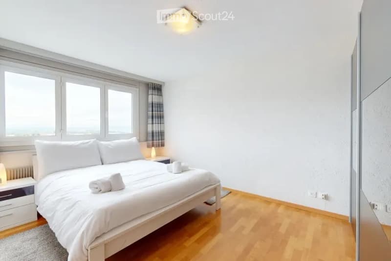 Furnished 3.5-room apartment (3)