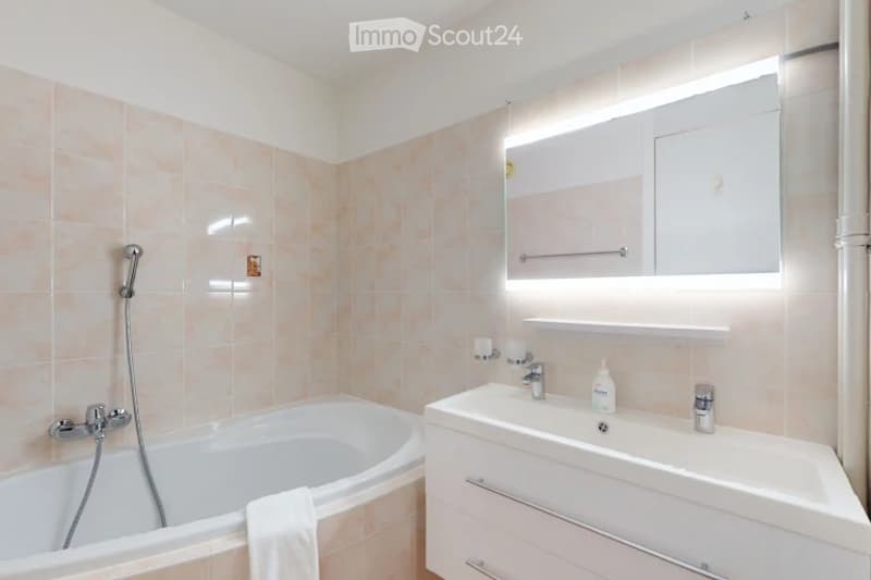Furnished 3.5-room apartment (5)