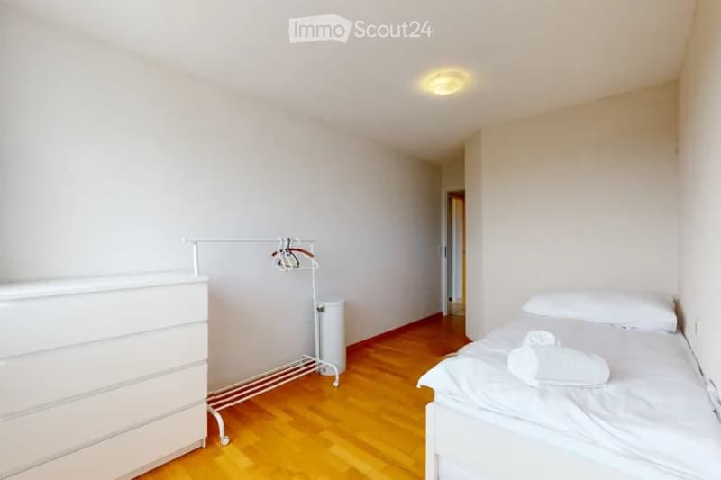 Furnished 3.5-room apartment (4)