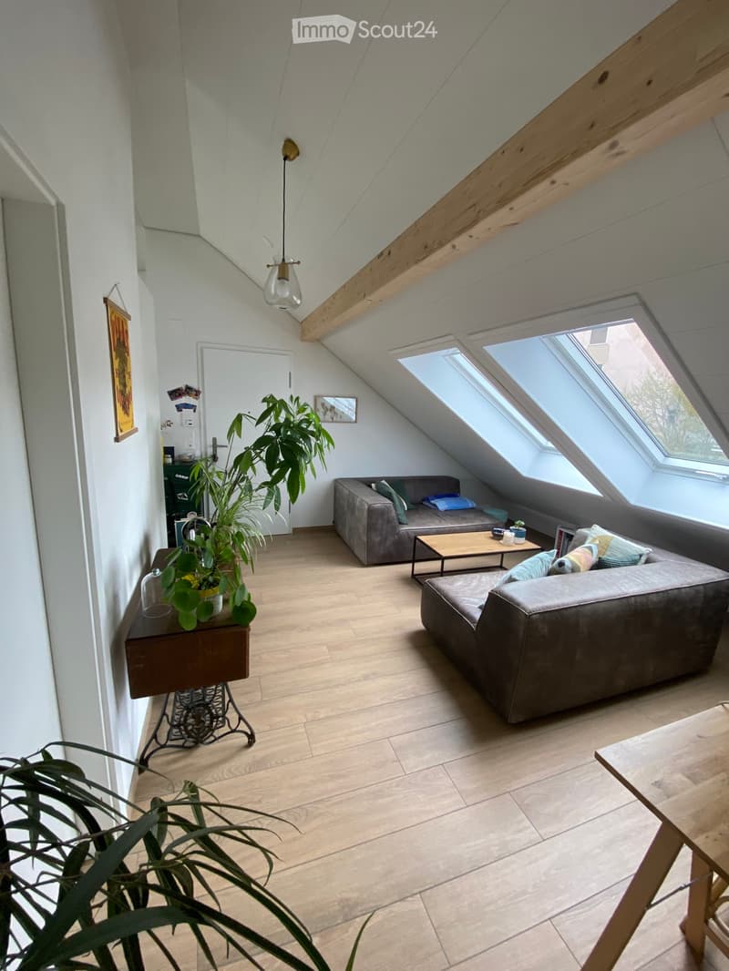 2.5-room apartment in Delémont (2)