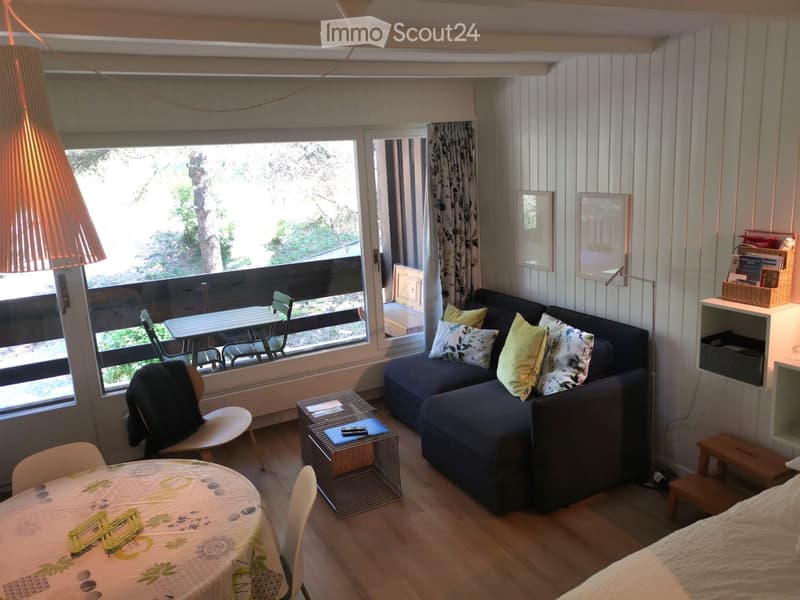 Lovely furnished studio (3)