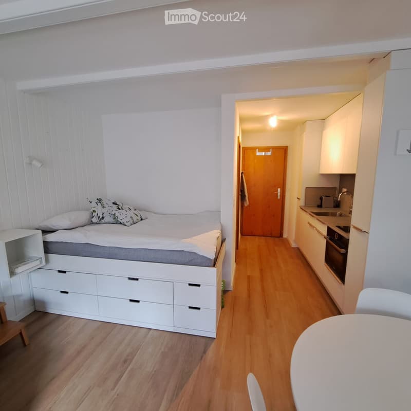 Lovely furnished studio (4)