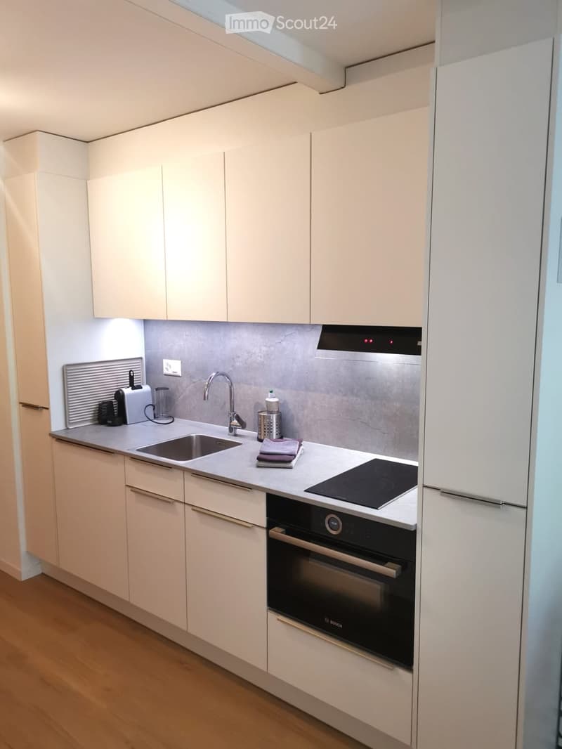 Lovely furnished studio (2)