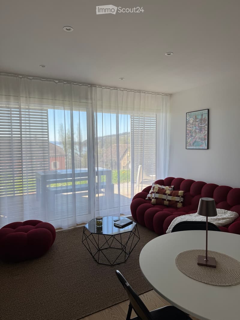 For rent Charming 2.5 rooms furnished with garden and garage (2)