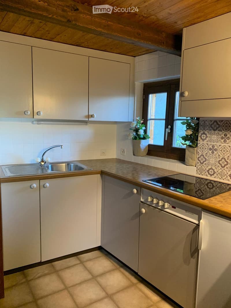 Appartamento duplex 2,5 locali con parcelle (2)